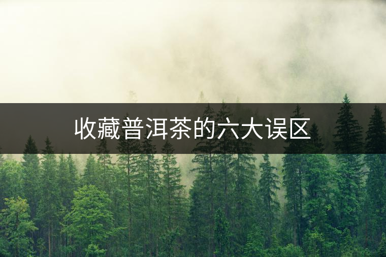 收藏普洱茶的六大誤區 收藏普洱茶的六大誤區