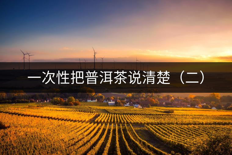 一次性把普洱茶說清楚(二) 一次性把普洱茶說清楚(二)