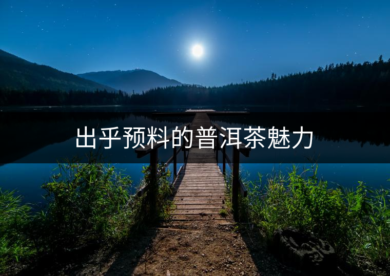 出乎預料的普洱茶魅力