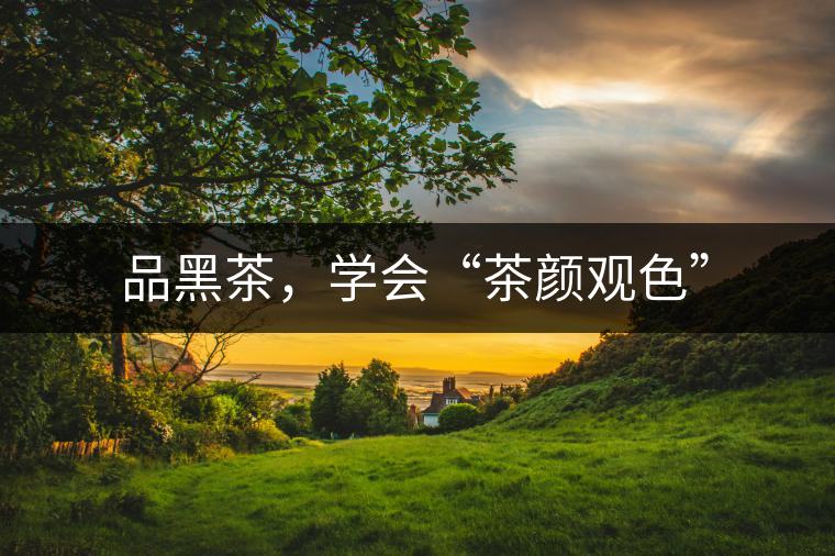 品黑茶,學會“茶顏觀色” 品黑茶,學會“茶顏觀色”