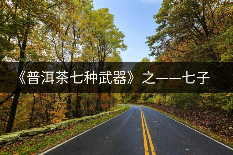 《普洱茶七種武器》之——七子餅