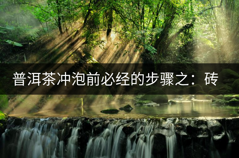 普洱茶沖泡前必經(jīng)的步驟之:磚茶如何撬? 普洱茶沖泡前必經(jīng)的步驟之:磚茶如何撬?