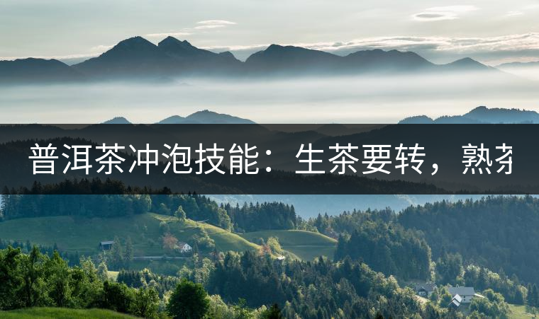 普洱茶沖泡技能：生茶要轉，熟茶要柔！