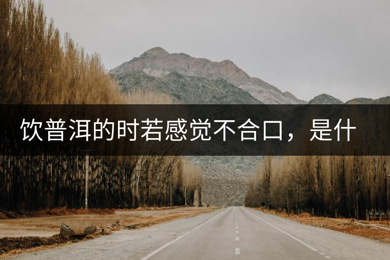 飲普洱的時若感覺不合口,是什么原呢? 飲普洱的時若感覺不合口,是什么原呢?