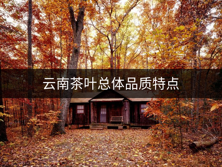 云南茶葉總體品質(zhì)特點(diǎn) 云南茶葉總體品質(zhì)特點(diǎn)