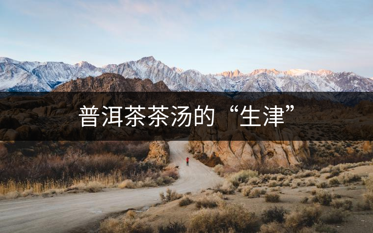 普洱茶茶湯的“生津” 普洱茶茶湯的“生津”