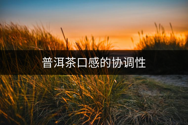 普洱茶口感的協調性 普洱茶口感的協調性