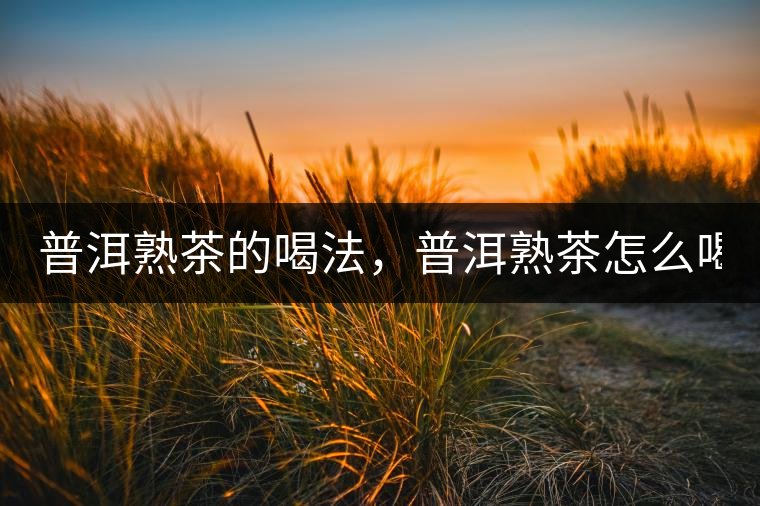 普洱熟茶的喝法,普洱熟茶怎么喝? 普洱熟茶的喝法,普洱熟茶怎么喝?