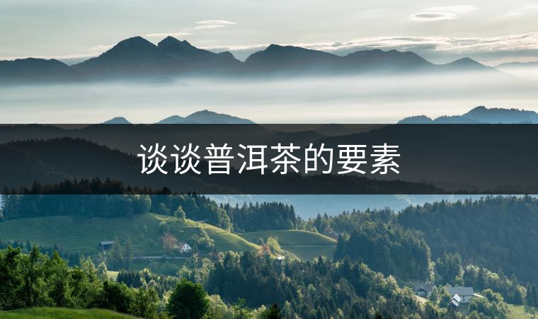 談談普洱茶的要素