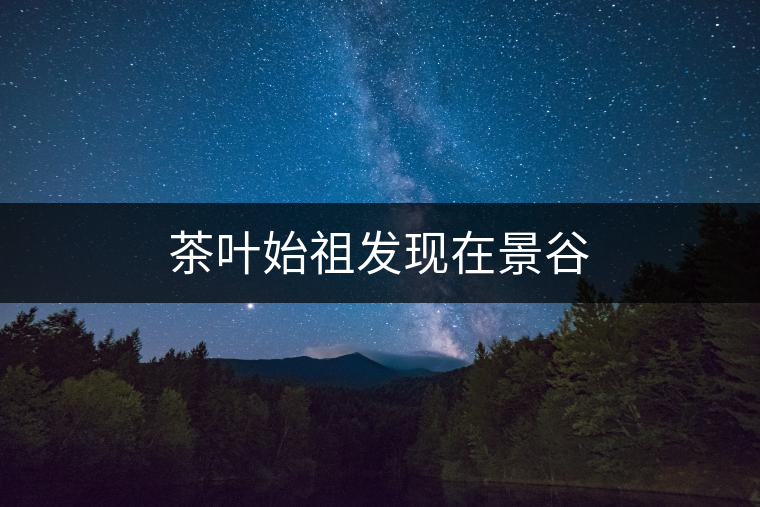 茶葉始祖發現在景谷