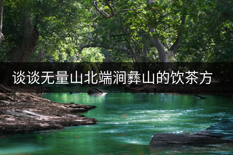 談談無量山北端澗彝山的飲茶方式