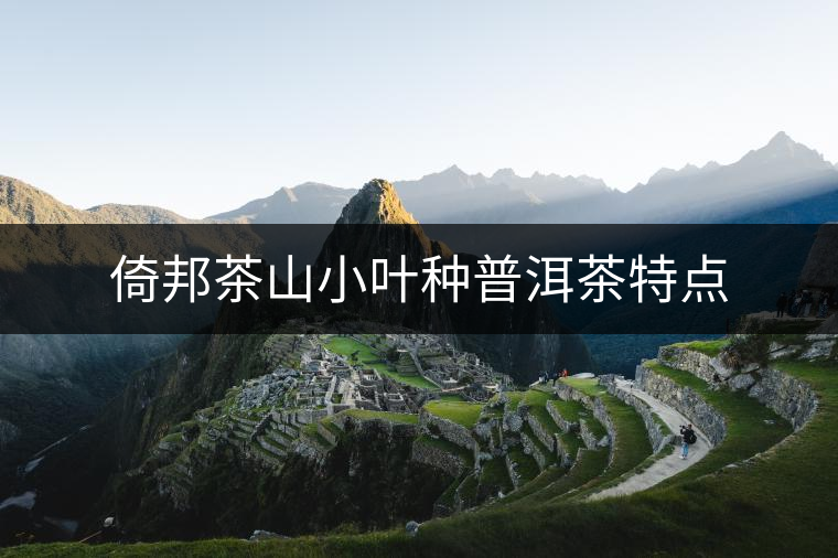 倚邦茶山小葉種普洱茶特點 倚邦茶山小葉種普洱茶特點