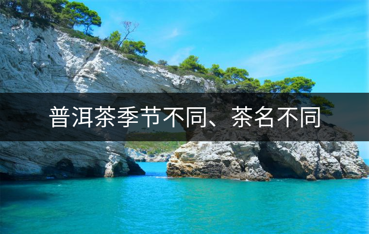普洱茶季節不同、茶名不同 普洱茶季節不同、茶名不同