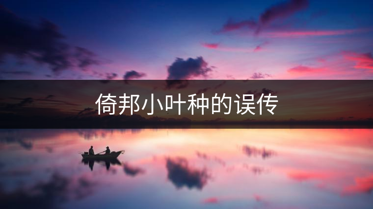 倚邦小葉種的誤傳 倚邦小葉種的誤傳