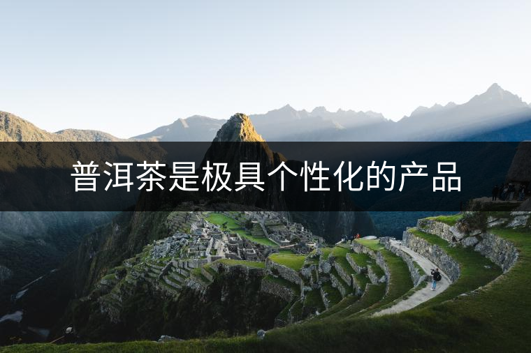 普洱茶是極具個性化的產品 普洱茶是極具個性化的產品