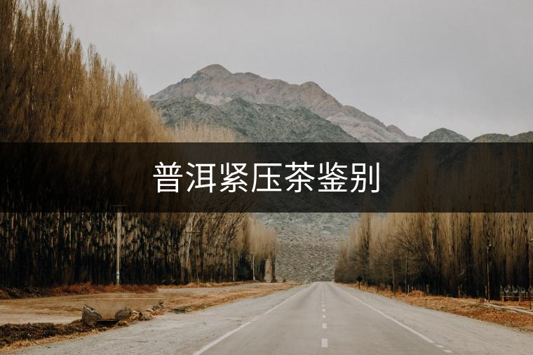 普洱緊壓茶鑒別 普洱緊壓茶鑒別