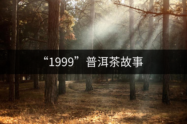 “1999”普洱茶故事