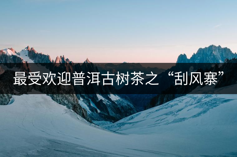 最受歡迎普洱古樹茶之“刮風寨”