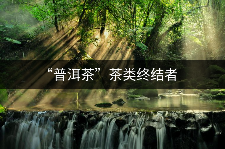 “普洱茶”茶類終結者 “普洱茶”茶類終結者
