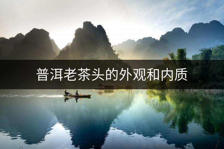 普洱老茶頭的外觀和內質