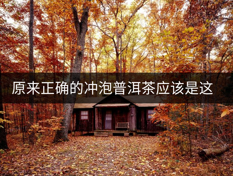 原來正確的沖泡普洱茶應該是這樣的