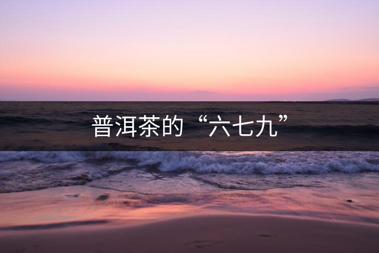 普洱茶的“六七九”