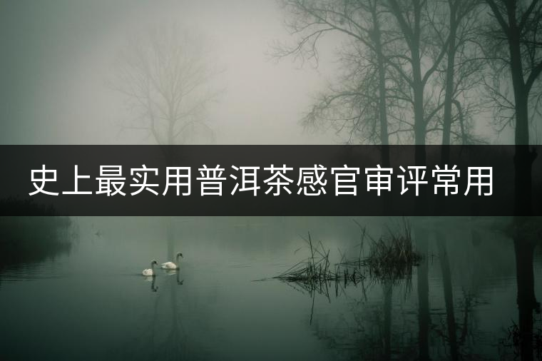 史上最實(shí)用普洱茶感官審評(píng)常用術(shù)語大全