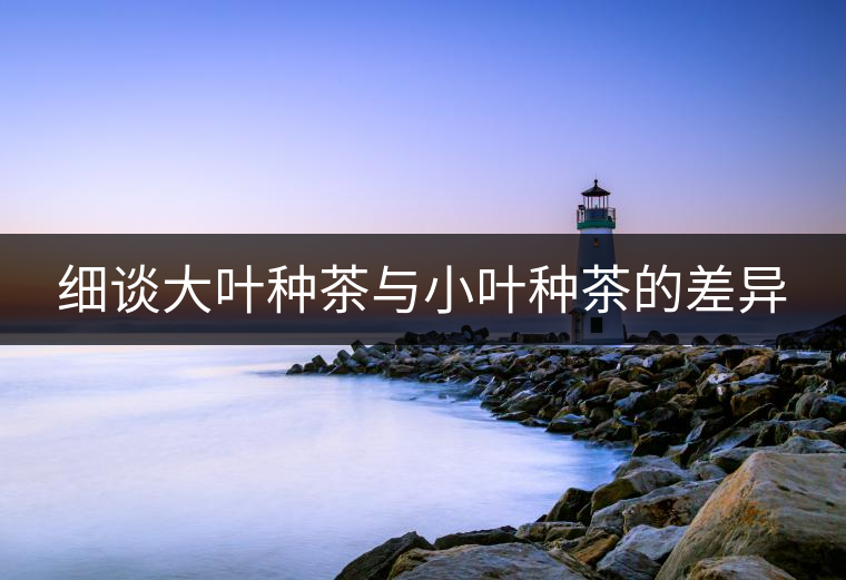 細(xì)談大葉種茶與小葉種茶的差異 細(xì)談大葉種茶與小葉種茶的差異