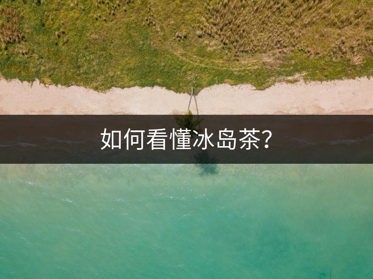 如何看懂冰島茶? 如何看懂冰島茶?