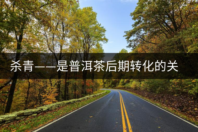 殺青——是普洱茶后期轉(zhuǎn)化的關(guān)鍵 殺青——是普洱茶后期轉(zhuǎn)化的關(guān)鍵