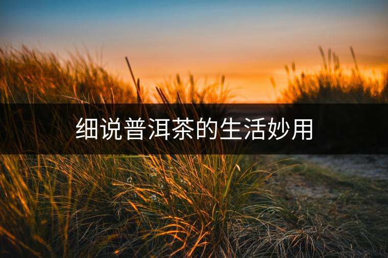 細(xì)說(shuō)普洱茶的生活妙用 細(xì)說(shuō)普洱茶的生活妙用