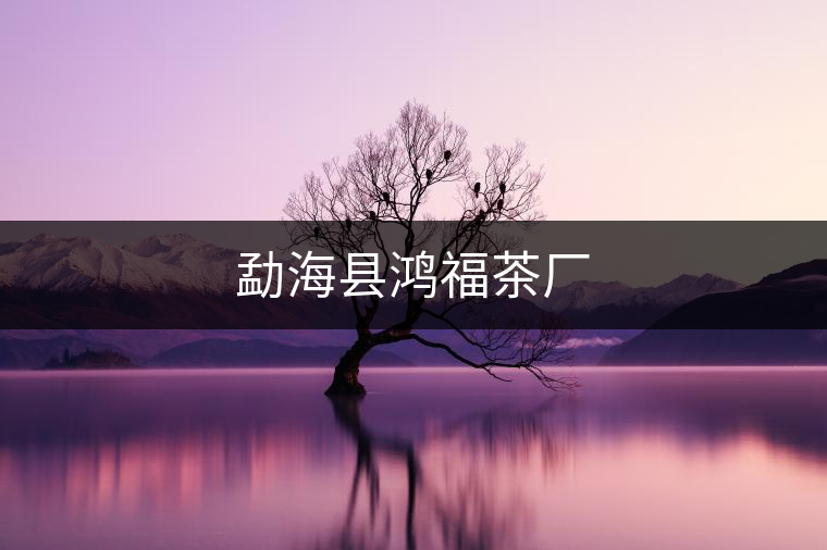 勐?？h鴻福茶廠