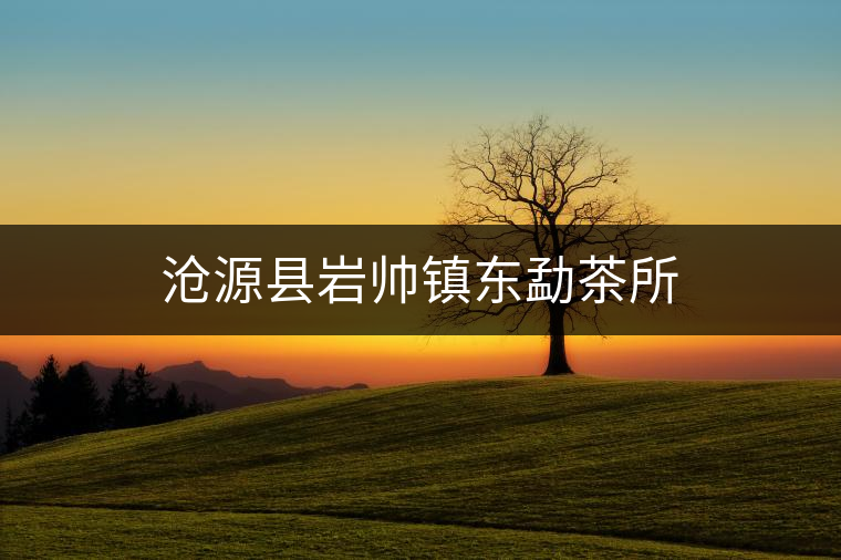 滄源縣巖帥鎮東勐茶所 滄源縣巖帥鎮東勐茶所