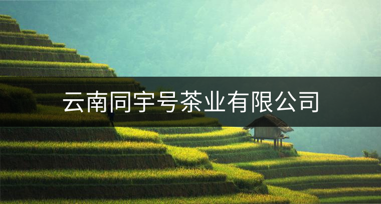 云南同宇號茶業有限公司