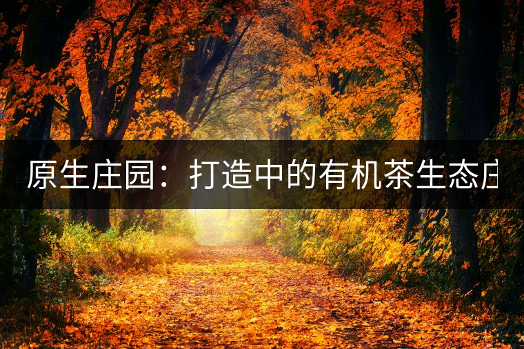 原生莊園:打造中的有機茶生態莊園(一) 原生莊園:打造中的有機茶生態莊園(一)