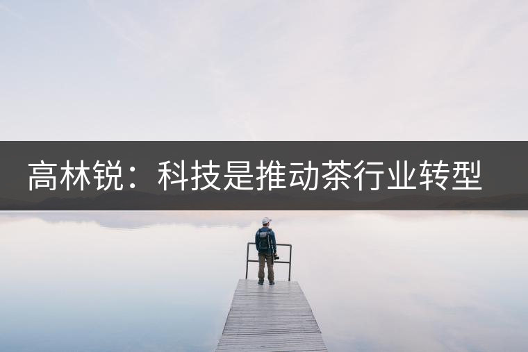 高林銳:科技是推動茶行業轉型的最大動力 高林銳:科技是推動茶行業轉型的最大動力
