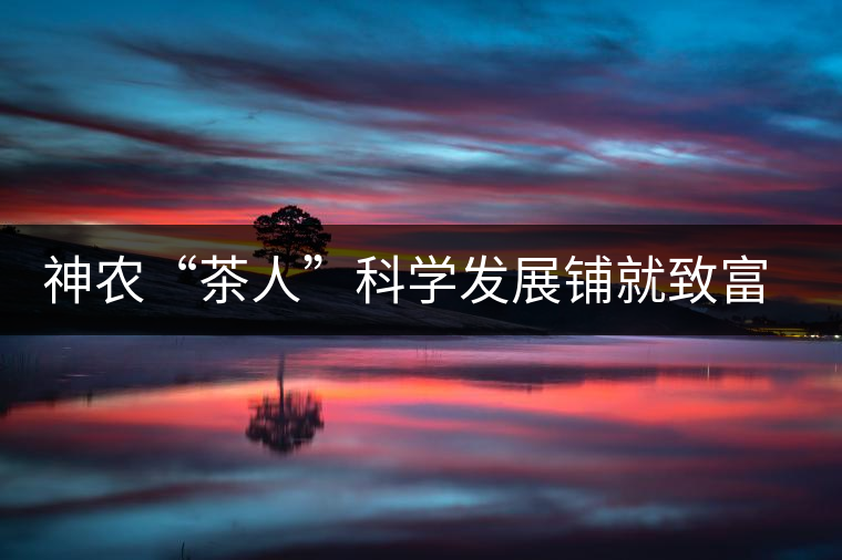 神農“茶人”科學發展鋪就致富路