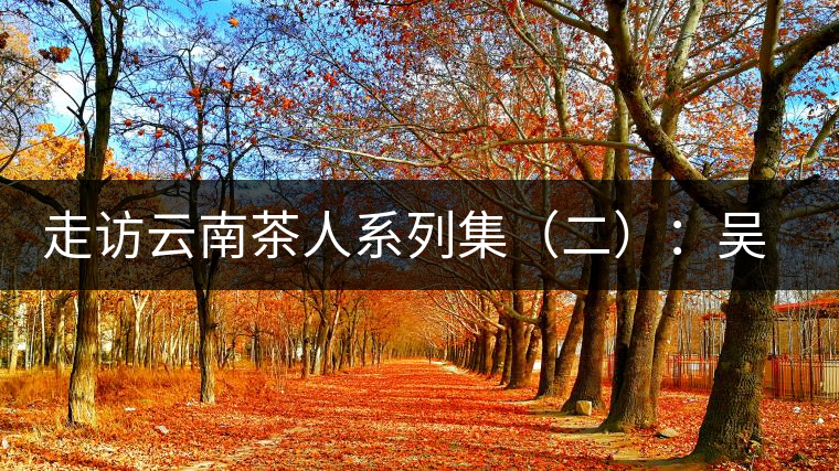 走訪云南茶人系列集(二):吳覺農的云南弟子——彭承鑑 走訪云南茶人系列集(二):吳覺農的云南弟子——彭承鑑