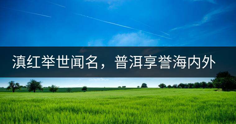滇紅舉世聞名，普洱享譽海內外丨專家座談——虞富蓮