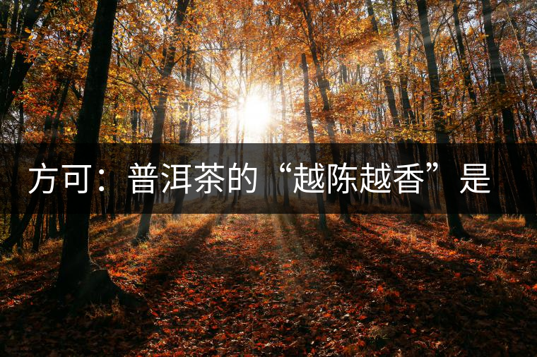 方可:普洱茶的“越陳越香”是有條件、有技術(shù)的 方可:普洱茶的“越陳越香”是有條件、有技術(shù)的