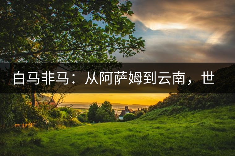 白馬非馬：從阿薩姆到云南，世界茶樹起源爭論的誤區