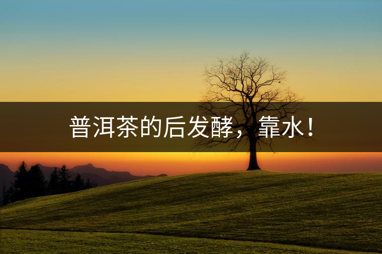 普洱茶的后發(fā)酵，靠水！