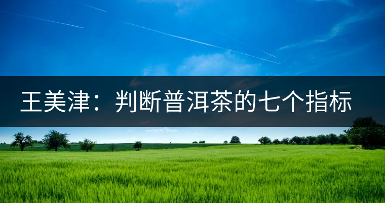 王美津:判斷普洱茶的七個(gè)指標(biāo) 之形 王美津:判斷普洱茶的七個(gè)指標(biāo) 之形