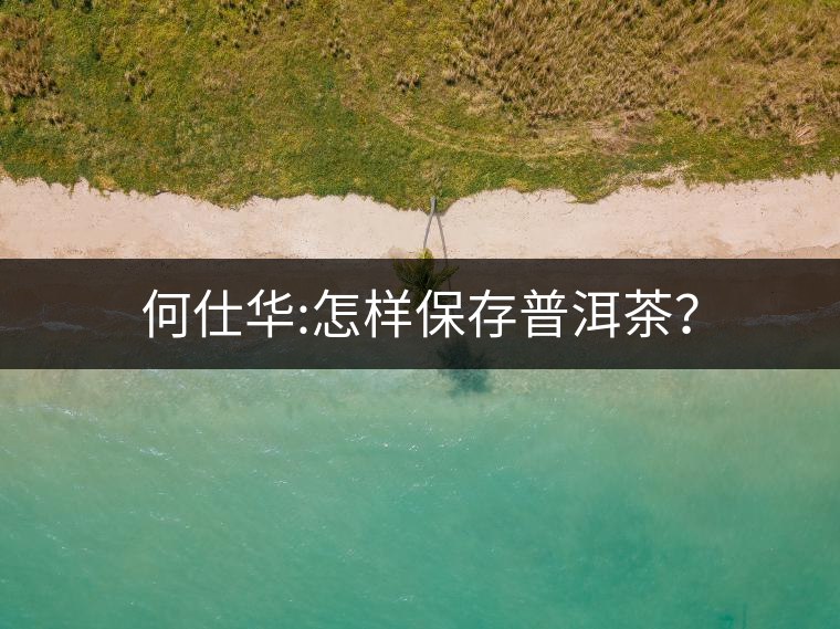 何仕華:怎樣保存普洱茶? 何仕華:怎樣保存普洱茶?