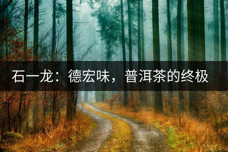 石一龍:德宏味,普洱茶的終極意境 石一龍:德宏味,普洱茶的終極意境