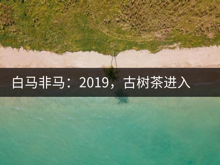 白馬非馬:2019,古樹茶進(jìn)入醇料時(shí)代 白馬非馬:2019,古樹茶進(jìn)入醇料時(shí)代