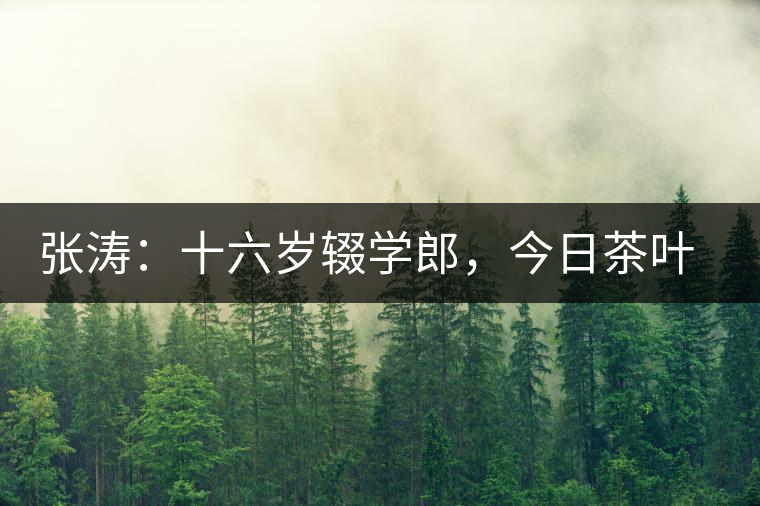 張濤:十六歲輟學郎,今日茶葉中堅 張濤:十六歲輟學郎,今日茶葉中堅