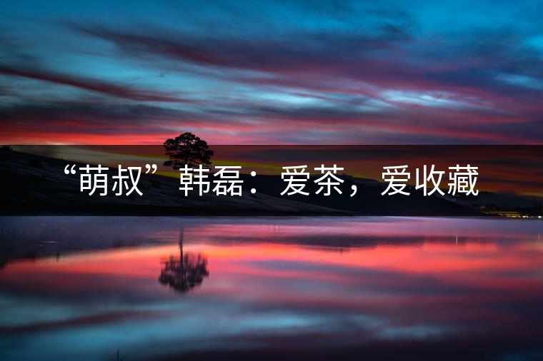 “萌叔”韓磊:愛茶,愛收藏 “萌叔”韓磊:愛茶,愛收藏