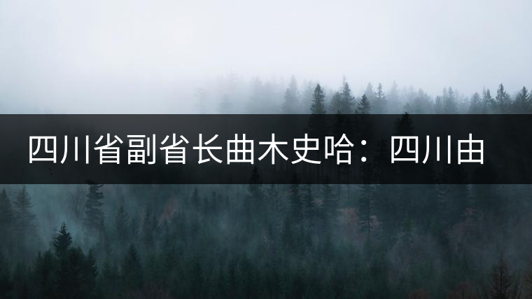 四川省副省長曲木史哈:四川由茶葉大省向茶葉強省轉變 四川省副省長曲木史哈:四川由茶葉大省向茶葉強省轉變