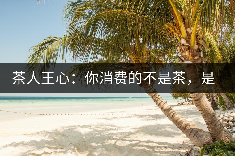 茶人王心:你消費的不是茶,是我 茶人王心:你消費的不是茶,是我